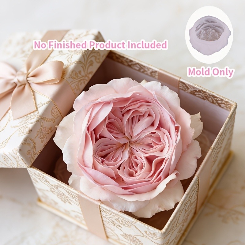 1 Stück sanfte rosa Austin-Ros – Candle Making Austin Bewertung und Preis